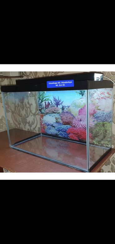 Akvariumlar: Dördbucaq akvarium, Boş, 70 l, Ödənişli çatdırılma — 6