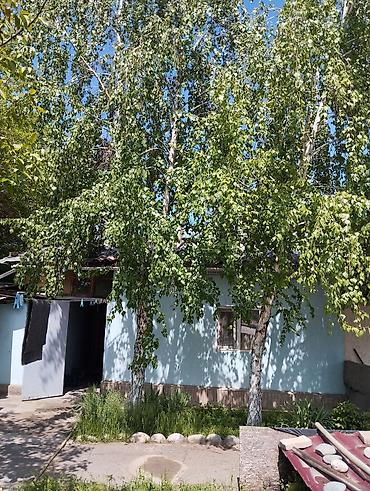 барачный: Уникальное предложение.Продается сразу две квартиры на одном участке в — 4
