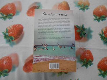 Knjige i stripovi: Svetski bestseleri /romani
izdanje Vulkan
stanje očuvane jako dobro — 9