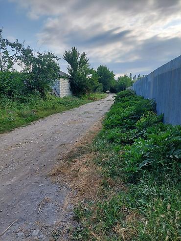 balakən: 64 sot, Kənd təsərrüfatı, Mülkiyyətçi, Kupça (Çıxarış) — 1