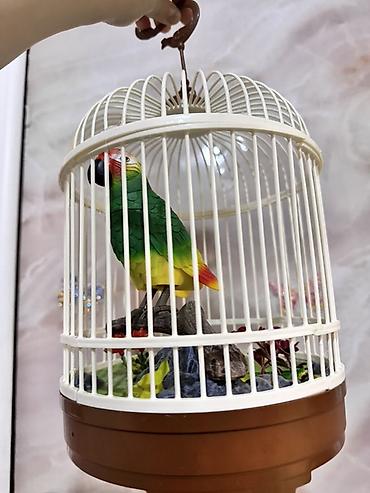 toy dekor: Fiqur, Plastik, rəng - Ağ — 1
