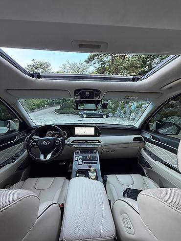 go park: Hyundai Palisade: 2021 г., Кроссовер — 10