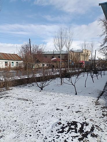 Другие декоративные деревья: Продаются декоративные деревья и кустарники для озеленения участка. В — 4