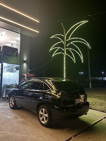 Lexus RX: 2005 г., 3.3 л, Автомат, Бензин, Кроссовер — 4