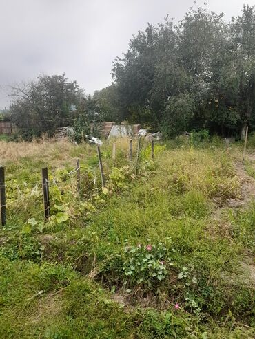 Продажа домов: Дача, 50 м², 2 комнаты, Собственник, Старый ремонт — 13