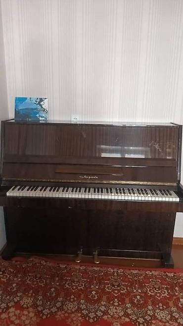 калимба: Продается пианино 🎹 хорошего качества, обращаться по номеру г — 1