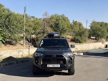 пампа: Toyota 4Runner: 2020 г., 4 л, Автомат, Бензин, Внедорожник — 2