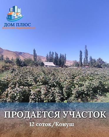 куплю продаю: 12 соток, Для строительства — 1