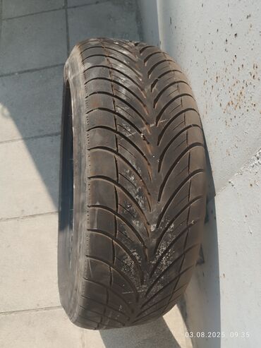 диски hds: Şin BFGoodrich 205 / 55 / R 16