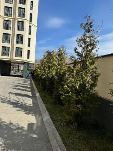 срочно продаётся 1 комнатная квартира в районе ошского рынка по улице кенсуйская: 1 комната, 38 м², Элитка, 1 этаж, Евроремонт