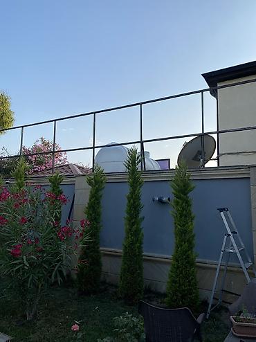 kələm gülü: 🌿 Yaşıl Hasarların Topdan və Pərakəndə Satışı Məkanlarınıza estetik — 1
