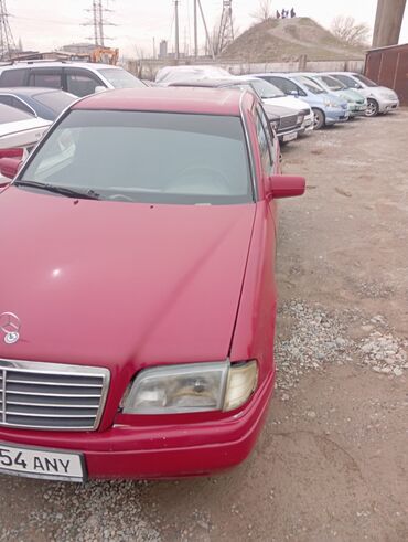 итальянская скрипка купить: Mercedes-Benz S-Class: 1995 г., 2 л, Механика, Бензин, Седан