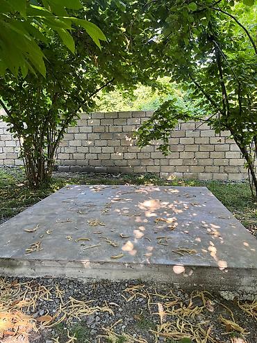 Bağ evlərinin satışı: Qəbələ, 65 kv. m, 3 otaqlı, Hovuzlu — 12