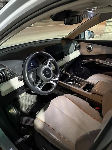 srv 3: BYD Yuan Plus: 2023 г., Автомат, Электромобиль, Кроссовер — 6