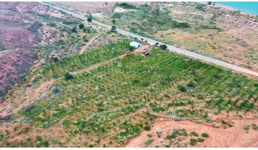 Продажа участков: 5000 соток, Для сельского хозяйства, Договор купли-продажи, Красная книга — 8