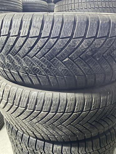 li 9 max: Шины 215 / 60 / R 17, Всесезонная, Б/у, Пара, Легковые, Китай — 1
