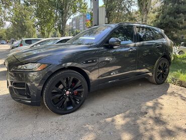 range rover дизель: Jaguar F-Pace: 2017 г., 3 л, Типтроник, Бензин, Кроссовер