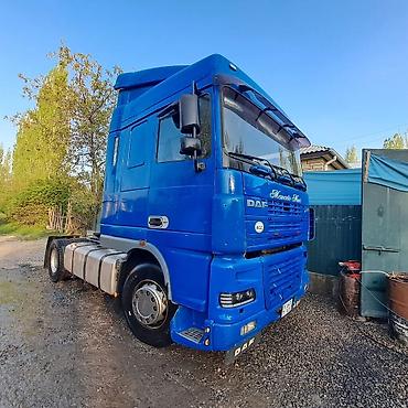 Тягачи: Тягач, DAF, Без прицепа — 10