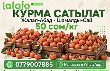 фрукты банан: Курма лепешка

- 200кг бар 
- места Джалал-Абад, Шамалды сай — 1
