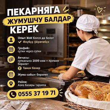 Требуется Пекарь, Оплата: Еженедельно, Без опыта