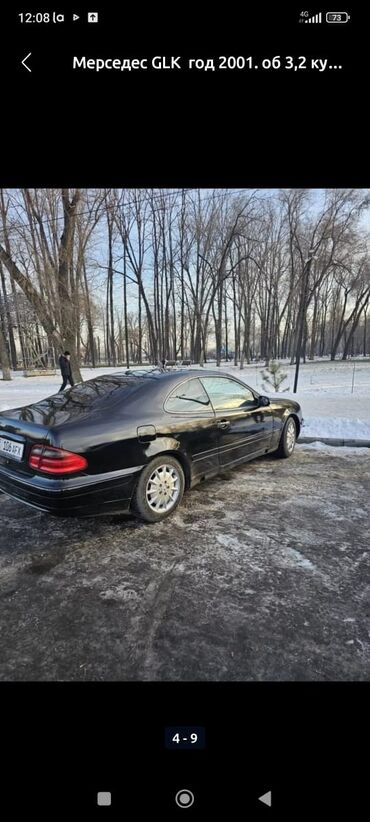 купить комнатные цветы: Mercedes-Benz SLK 320: 2001 г., 3.2 л, Автомат, Бензин, Купе