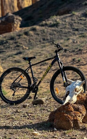 Городские велосипеды: Городской велосипед, Рама XL (180 - 195 см), Новый at lalafo.kg — 8 Городские велосипеды: Городской велосипед, Рама XL (180 - 195 см), Новый — 8