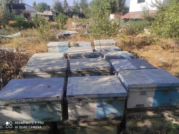 продам домик для кошки: Пчеловодческий инвентарь и ульи Предлагается комплект оборудования