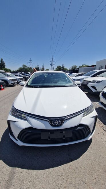 Toyota: Toyota Corolla: 2019 г., 1.8 л, Автоматические, Гибрид, Седан