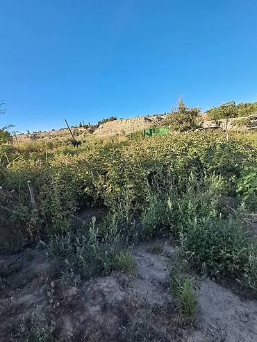 Продажа дач: Дача в Михайловка с фермерским бизнесом. 22 сотых до моря 15 минут — 19