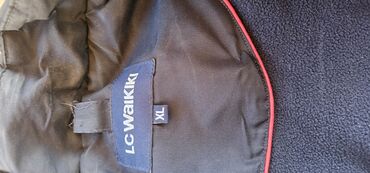 Kurtkalar: Teze modeler tyrkiye kurtkalar kopysunu ela veziyetedi temiz tyrkiye — 4