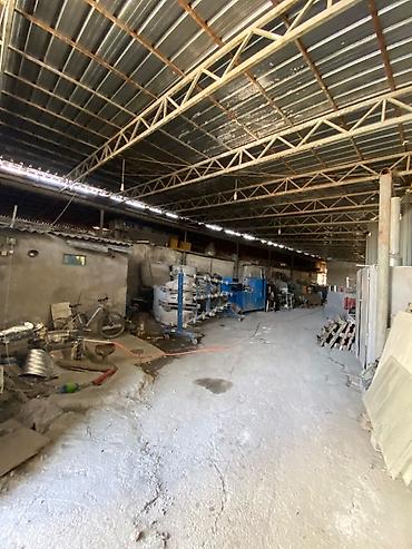 Продажа участков: 50 соток, Для бизнеса, Красная книга — 5