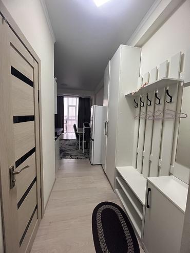 иссыккуль ущелье: Студия, 27 м², 3 этаж, Свежий ремонт — 3