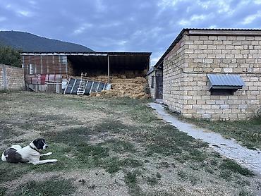 quba torpaq satilir 2021: 18 sot, Kənd təsərrüfatı, Mülkiyyətçi, Kupça (Çıxarış) — 3