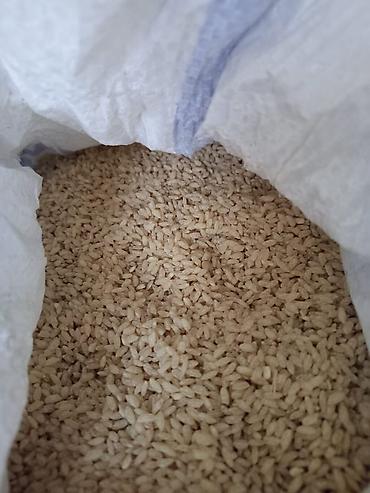 попа ячмень: Рис круглозёрный, белый, шлифованный. - Фракция: короткое/круглое — 2