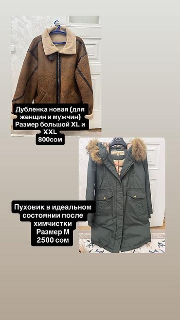 дордой одежды: Женская одежда — подборка вещей разных размеров. 1) Рубашка-пальто в — 2
