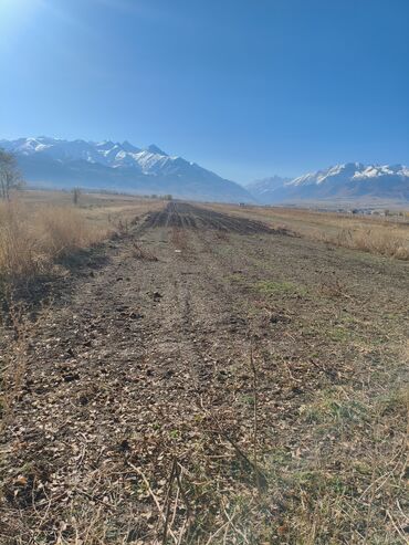 аренда помещений под кафе ресторан: 15000 соток, Айыл чарба үчүн, Техпаспорт