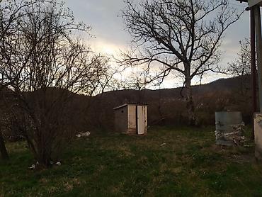 ev: Zaqatala, 70 kv. m, 3 otaqlı, Hovuzsuz, Kanalizasiya, Telefon, İşıq — 7