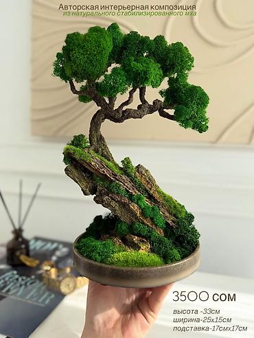 Декоративные цветы: Деревья-бонсай из натурального стабилизированного мха🌳 -это — 53