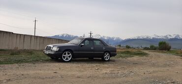 Mercedes-Benz: Mercedes-Benz W124: 1989 г., 2.3 л, Механика, Бензин, Седан