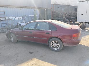 акорд 1992: Honda Accord: 1984 г., 2 л, Механика, Бензин, Седан — 3