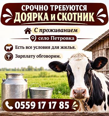 графика: Требуется Скотник, Питание — 1