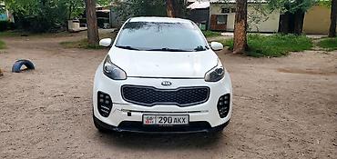 скупка ката: Kia Sportage: 2017 г., 2.4 л, Автомат, Бензин, Кроссовер — 2