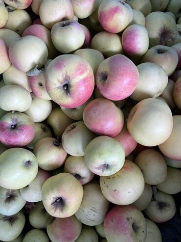 компрессор пистолет: Алмалар Чекене