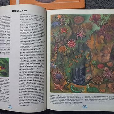 Другие книги и журналы: Книги. Три больших энциклопедии. Состояние хорошее, все страницы на — 7