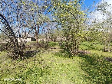 Torpaq sahələrinin satışı: Azərbaycanın ən gözəl guşələrindən biri olan Oğuz rayonu Xaçmaz — 5