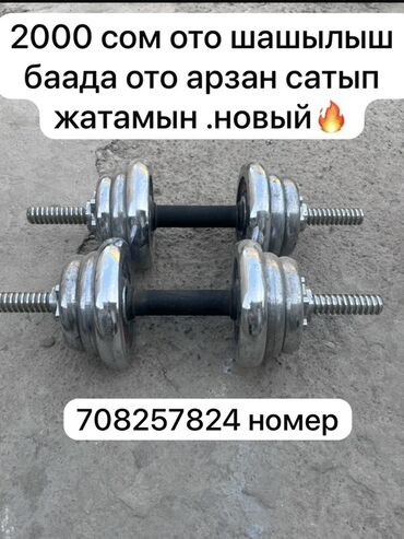 мячик для тенниса: Разборные хромированные гантели (пара). - Материал блинов: металл с