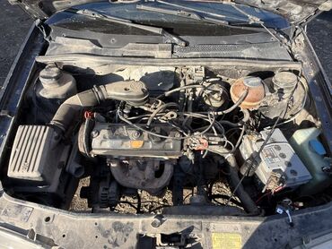 Volkswagen: Volkswagen : 1993 г., 1.6 л, Механика, Бензин — 3