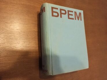 Knjige i stripovi: BREM Kako žive životinje Dobro očuvana knjiga iz 1967g. Izdavač — 23