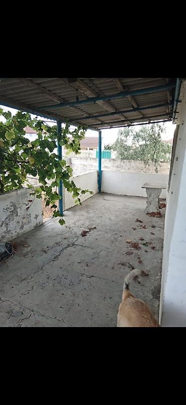 Torpaq sahələrinin satışı: 12 sot, Tikinti, Mülkiyyətçi, Kupça (Çıxarış) — 3