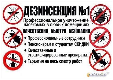 талоны: Дезинфекция, дезинсекция, | Блохи, Вирусы, микробы, Клопы, | Офисы, Дома, Квартиры — 9